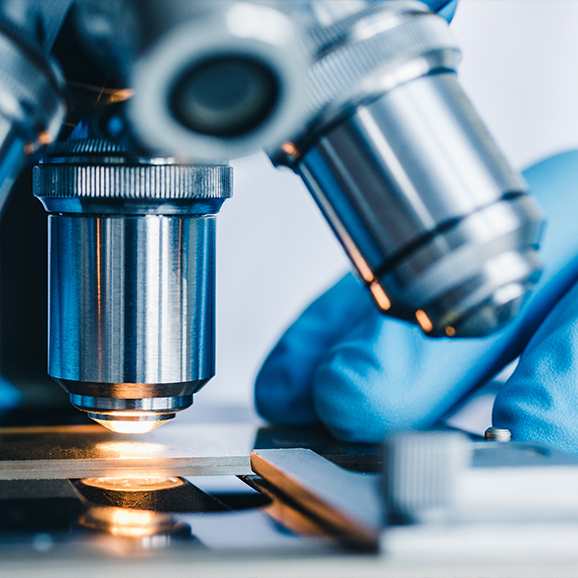Drug Discovery & Clinical Development