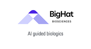 Bighat logo